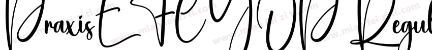 PraxisEFCYOP Regular字体转换